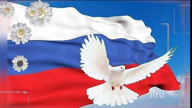 Домохозяйка