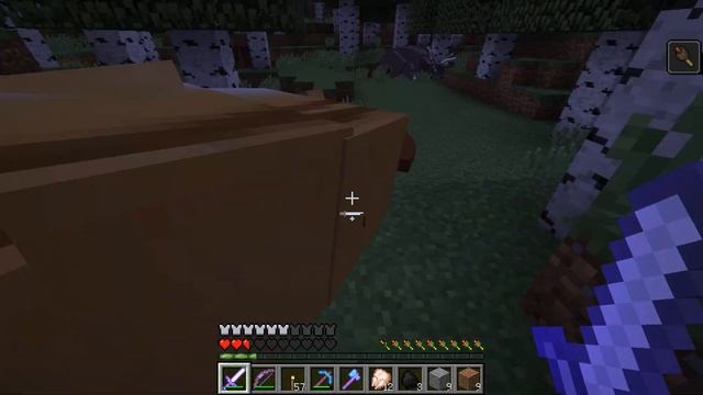 Майнкрафт выживание Нубик пещерный человек