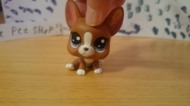 Лпс клип  Dua Lipa - New Rules!