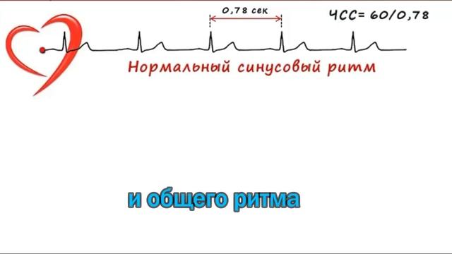 Исцеление сердечно-сосудистой системы (практика)