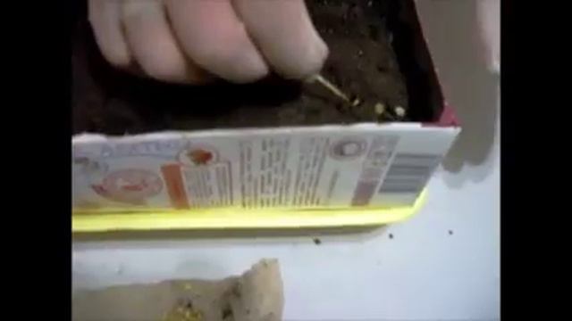 F7a77560401eba5d148ac8288995f1b0