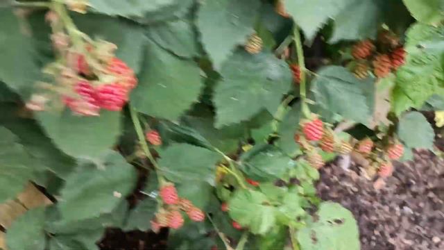 5b07557b1083773ac814a86bc27d98ed