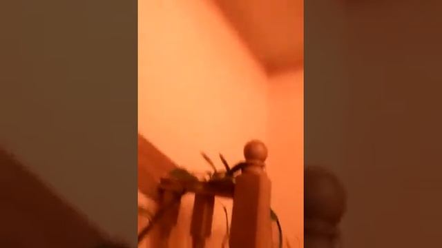 Приколы двух друзей