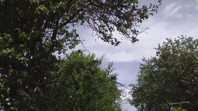 Ответчик-страница-аудио