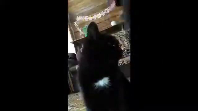 3d1299be966beab86885196b0b748a09