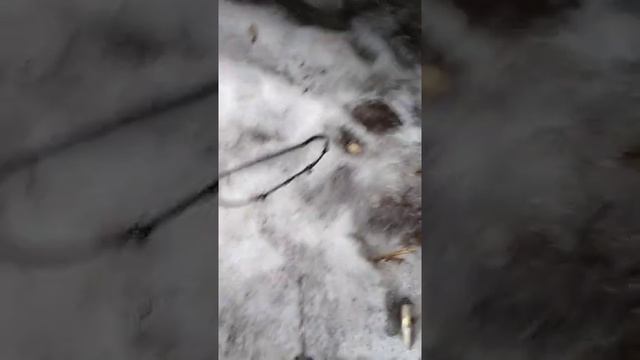 Ремонт дверей: снятие обшивки и замена ручек