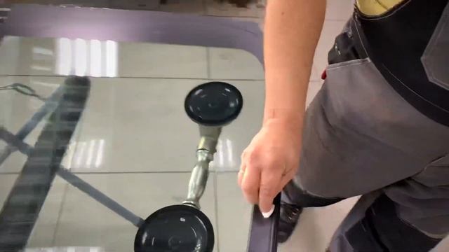 Ремонтные магнолии