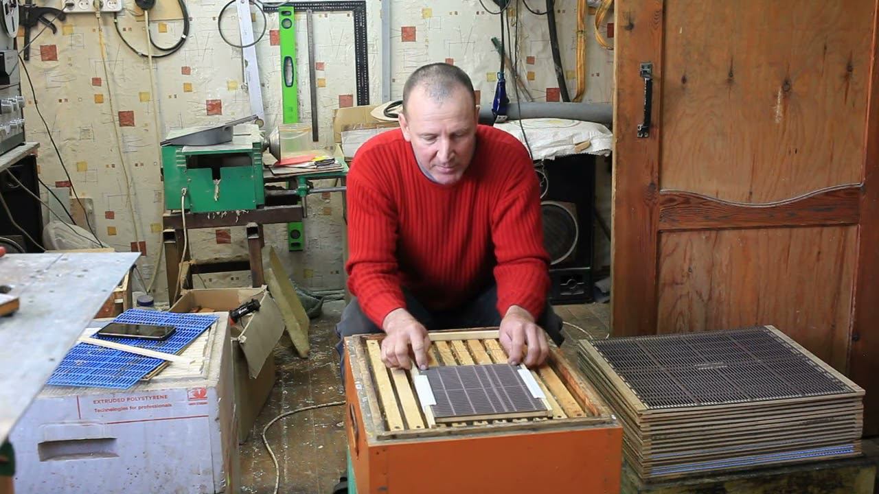 Новый изолятор часть 2 долгоживущая пчела