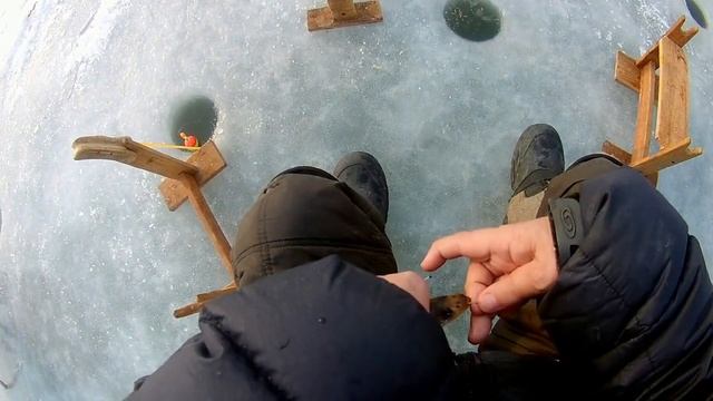 Ловля корюшки и зубаря на самодур с опарышам. рыбалка в Тавричанке.