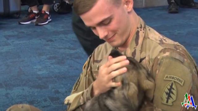 «Друзей не бросают!» Солдат добился права вывезти спасенного щенка с собой на родину