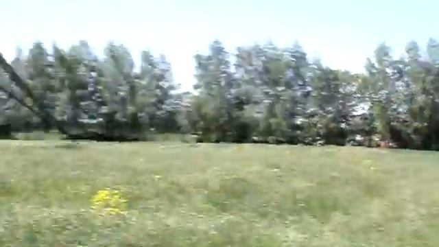 травка в Суздале