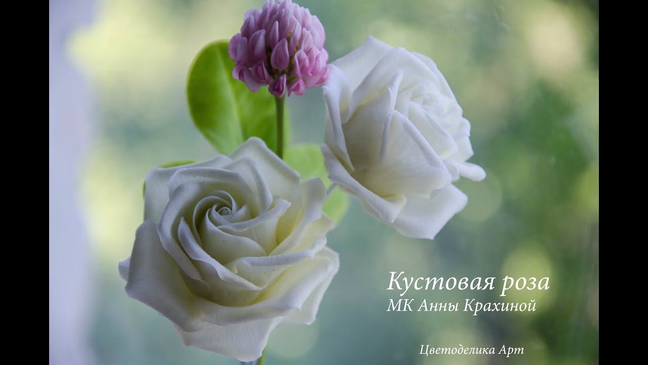 7980dc038150ff02d5a4269d7fc94658