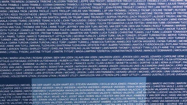 Розовый кролик и TSC Amsterdam Marathon