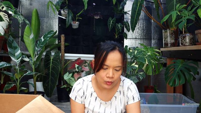 Plant Mail Time  Unboxing 20 Begonias!!