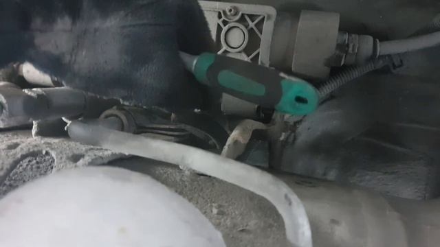 Кулинарное творчество без границ 