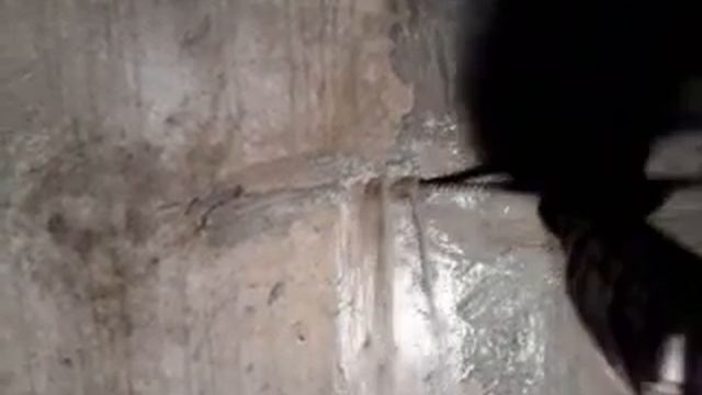 25b776774f47a4d2bdcacf915174e3a6