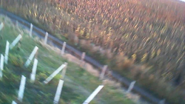 Фермерское хозяйство 