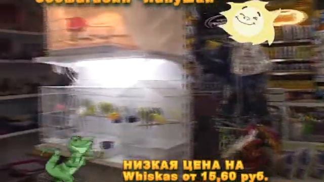 Магазин Лапушки