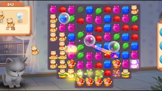 Excellent Kitten Game Show Live Concert.. Happy Cats Play..