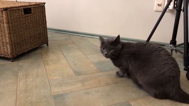 А Лавруше Маруся не понравилась,,, до тошноты ?