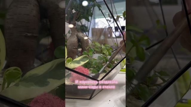 7aaafb41f8457f7d041dbb3e219d438b