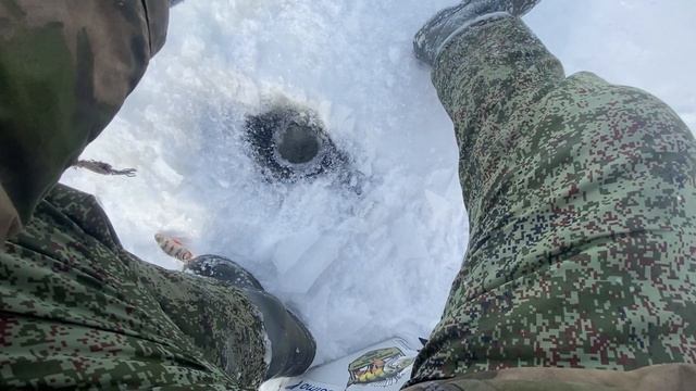 Зарубились по окуню на блесну по 100рублей