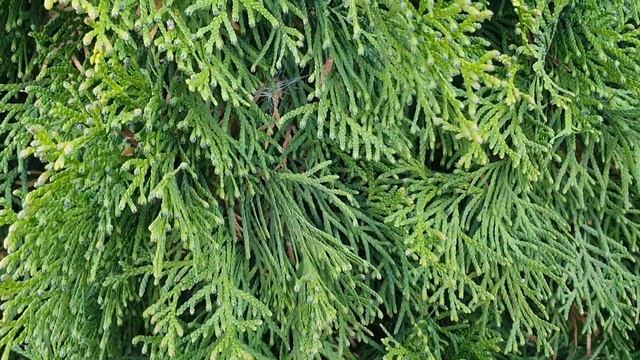 Обзор влогов / Многомама / МНОГОблогер продолжает снимать ШЛАК -Контент