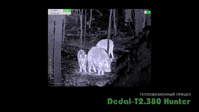 Реальный опыт использования тепловизора Dedal-T2.380 Hunter  Часть 1
