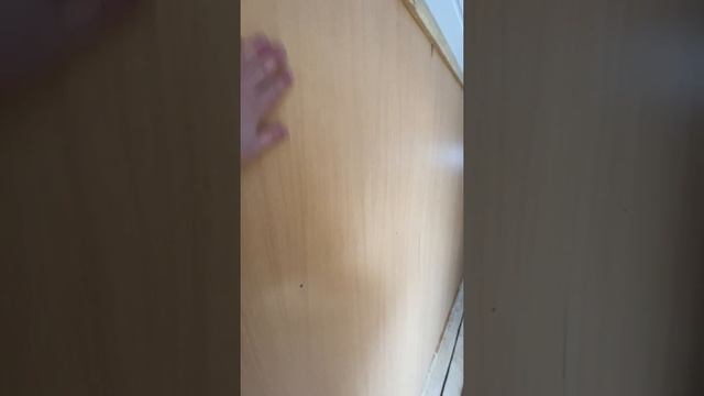 Да не стыдно показать.