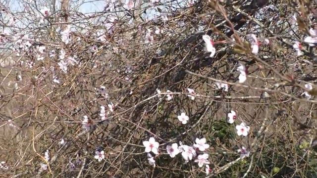 Spring 2015. Georgia/Весна 2015. Грузия