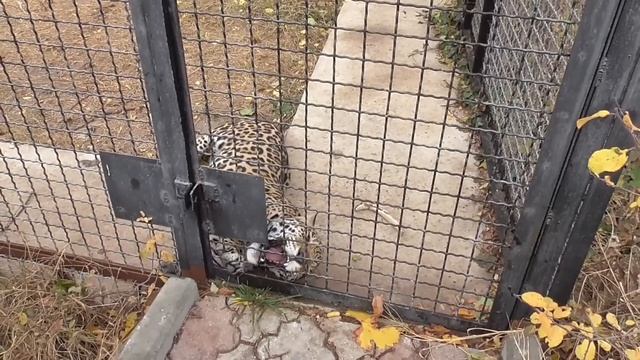 1fda3f8e77d0c58dc62b9bb1ed0fdbc2