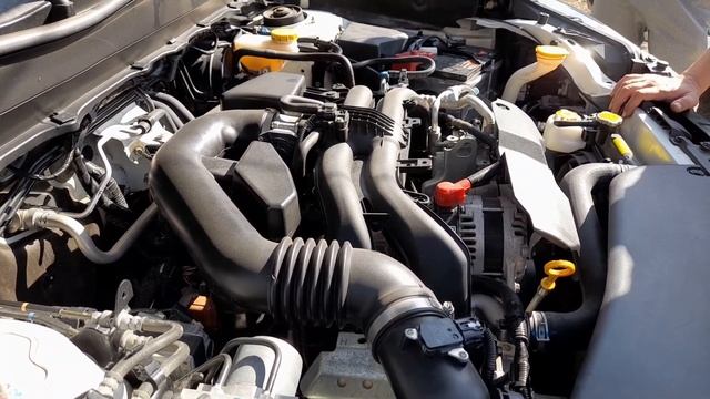 Радость от чистоты