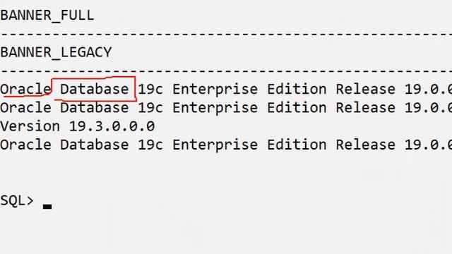ORACLE 19c Tutorials  By Mr. Murali Sir