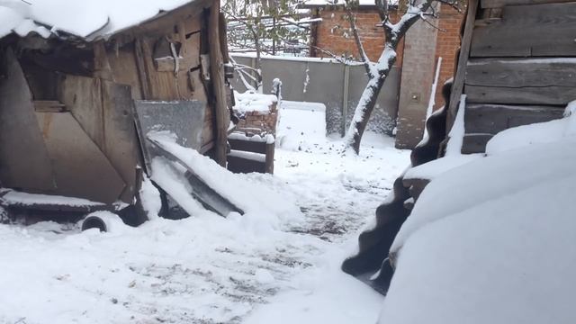 ШОК __ ЧТО С ПОГОДОЙ __ БУДНИ