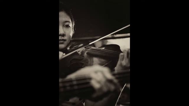 Elec Classic Violin Part.1 Chaconne (Vitali)