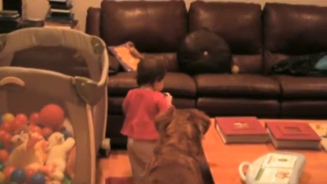 79382d0104fb9e599b095634dfb79ed6