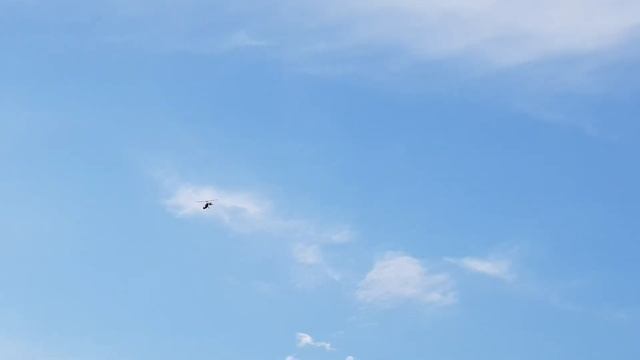 Бурение колодца машиной в Раменском районе днп Континент 6 колец за два часа