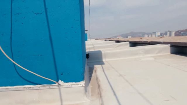 Cat's Roof (Canon 60D Cinestyle + LUT Test)