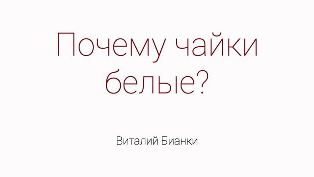 Be2b03c413f07b242ef307e0b1c87b6c