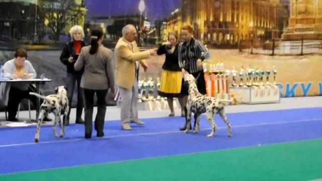 E5cb57fcca6f4425296a50160fd74578