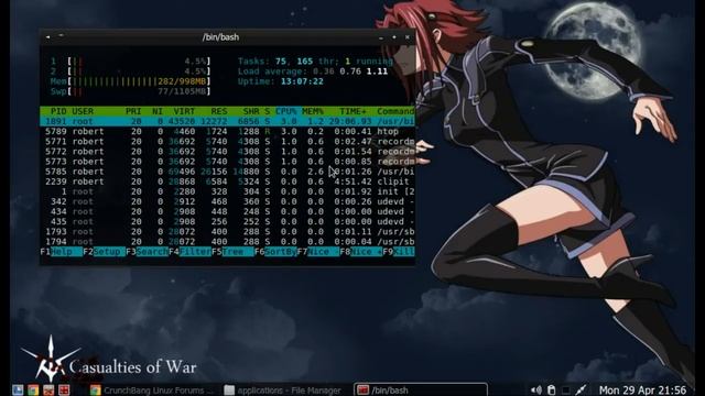 Crunchbang Linux Waldorf 11 setup on a HP mini netbook