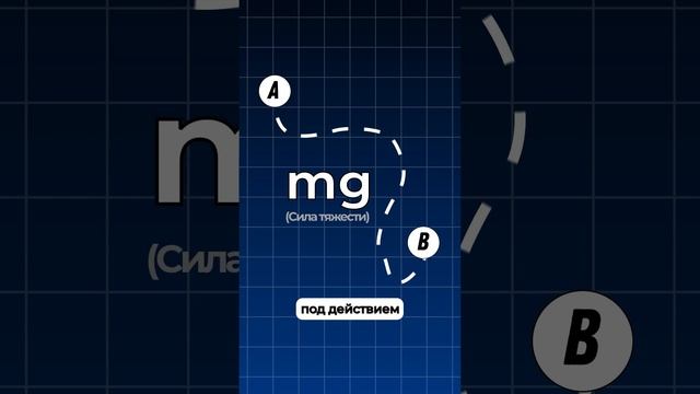 3e0319f437f6e439cea5c8fd8bd9fdd6