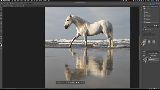 GENERATIVE FILL - Quick Start Guide For Photoshop