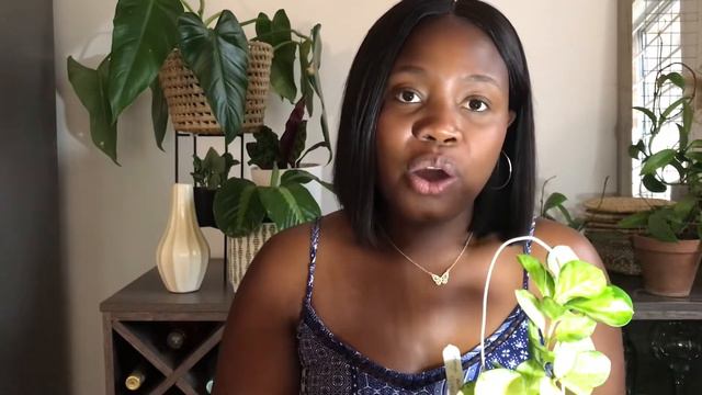 Aea7ddb2874e49d940a109a25ad6debc