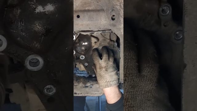 Ниссан-адреналин