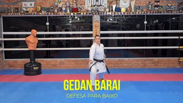 NOME DOS GOLPES DO KARATE SHOTOKAN - Parte 1 | KIHON BÁSICO DE FAIXAS: AZUL - AMARELA - VERMELHA