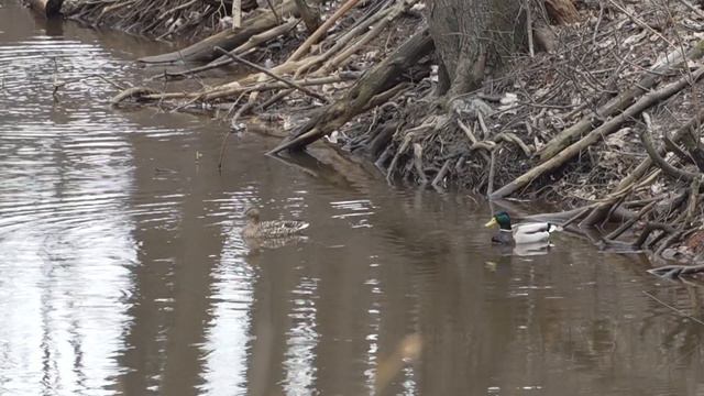 Db86ea8a0e091c41f5e20c2ab577d4f0