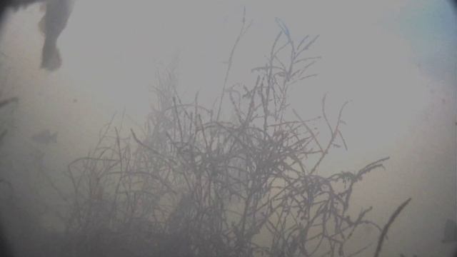 2e6fd9b781ce4b785737d3f053f4ae74