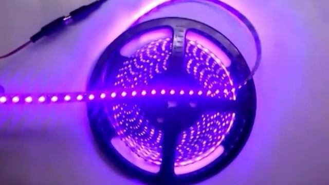 Purple Light Flexible SMD 3528 LED Strip - Kutop.com