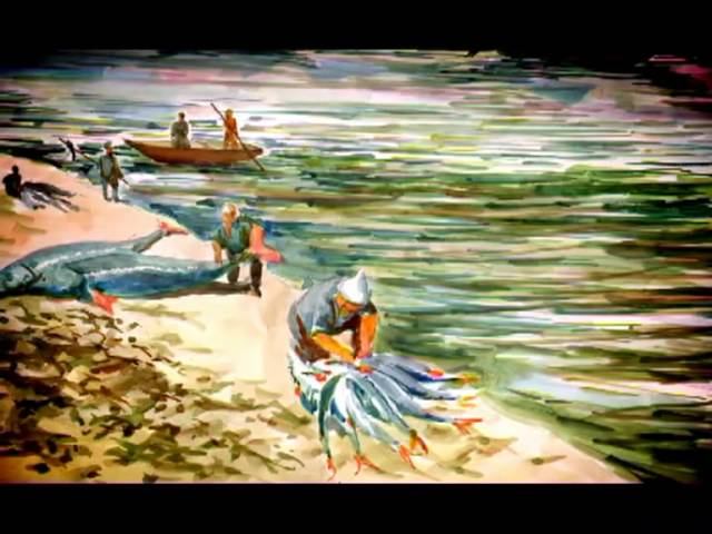 В поисках затерянного города